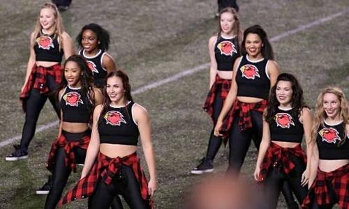 Lamar University Dance Team